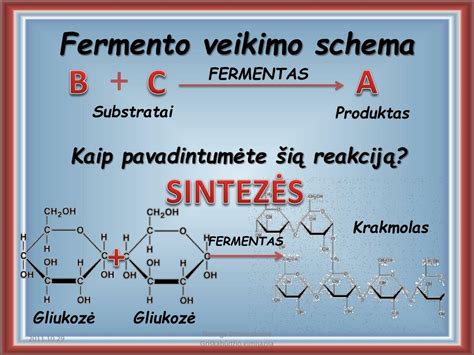 Schema, vaizduojanti virškinimo fermentų veikimo principą