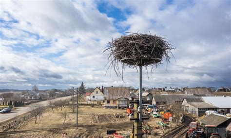 Gandralizdis ant stulpo