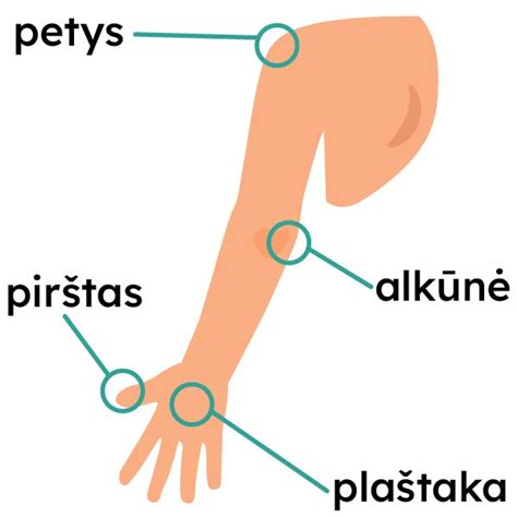 Žmogaus ranka, naudojanti pincetą erkei pašalinti