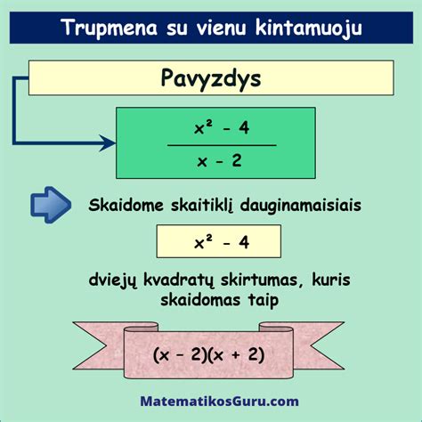 schematiškas vaizdas su skirtingais kombinezonų tipais