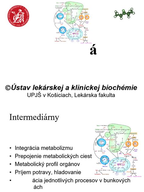 schematinis ketonų susidarymo organizme vaizdas