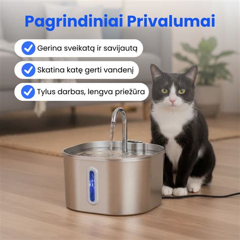 schematinis inkstų ir šlapimo takų vaizdas