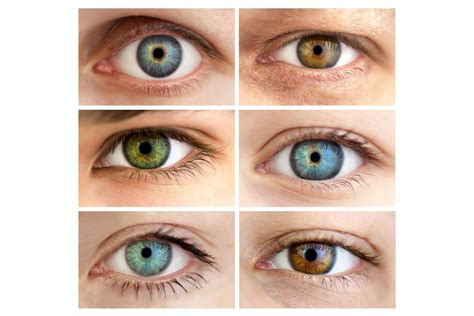 schematinis žmogaus akių spalvos genų paveldėjimo pavaizdavimas