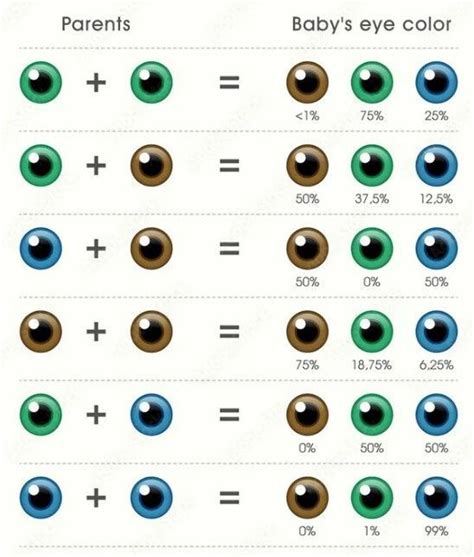kūdikio akių spalvos evoliucijos schema pagal amžių