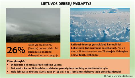 schematinis debesų susidarymo ir lietaus procesas
