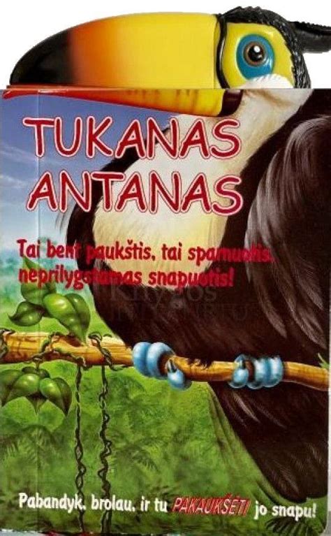 tukanas su didele spalvota snapu