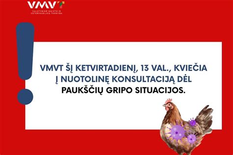 iliustracija apie paukščių pasaką