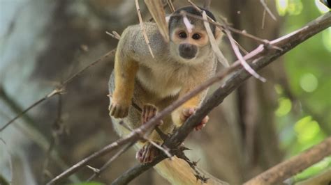 Žmogus ilsisi namuose, atsigydamas
