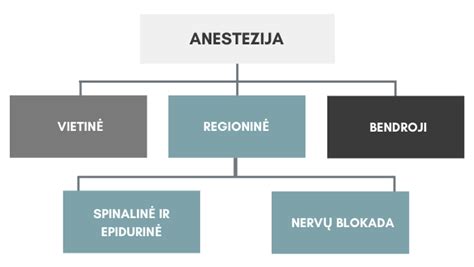 Infografika: Bendrosios anestezijos tipai ir jų taikymas