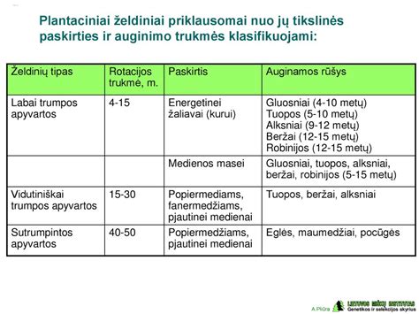 Slapukų tipai ir jų paskirtis