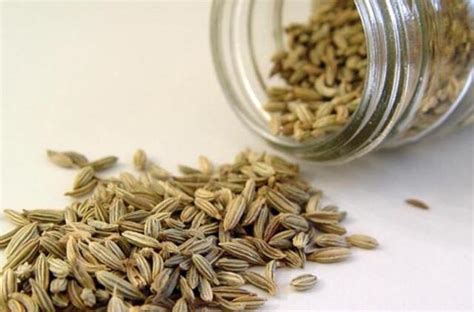 Infografika: liaudiškos priemonės nuo slogos vaikams