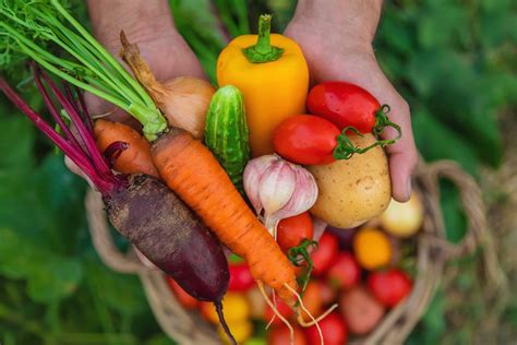 Vaisių ir daržovių tyrelių ingredientai