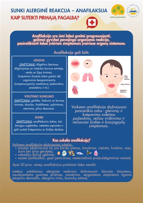 Schema, kaip veikia alerginė reakcija