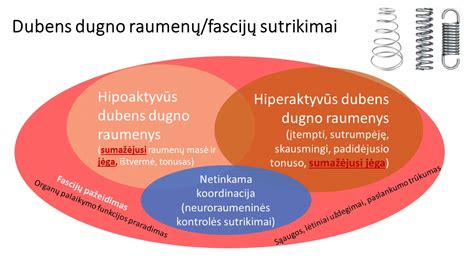 Vaizdinė schema: augančios gimdos spaudimas dubens srityje