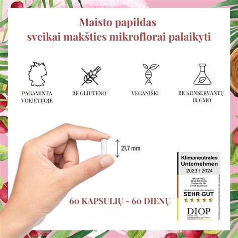schematinis makšties mikrofloros sutrikimo pavaizdavimas