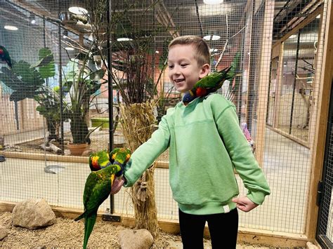 Vaiko ranka laiko atverstą knygą su gyvūnais