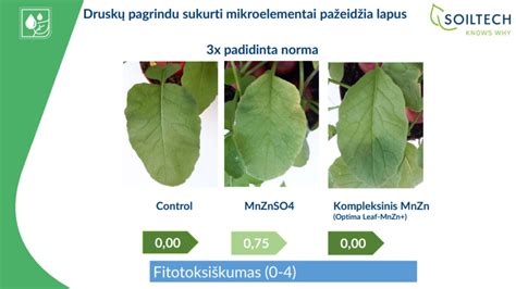 Skirtingų kūdikio išmatų konsistencijų palyginimas