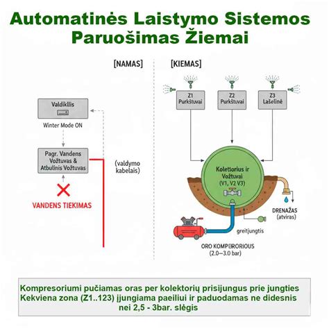 Scheminė inkstų iliustracija
