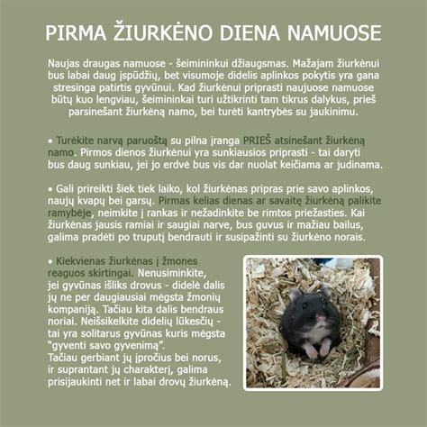 Nėščiosios pilvukas suaugęs iki 30 savaičių