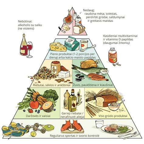 moters mitybos piramidė nėštumo metu