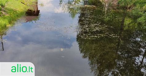 Vaizdas su perspėjamuoju ženklu prie vandens telkinio