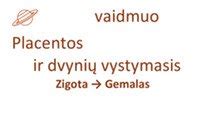 Schema: Placentos vaidmuo perduodant medžiagas iš motinos vaisiui