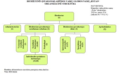 Schema, iliustruojanti socialinės globos paslaugų spektrą