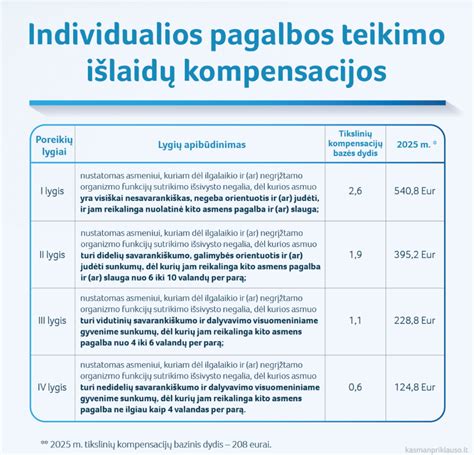 Individualios pagalbos teikimas