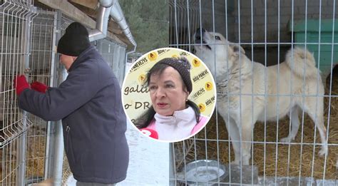 Gyvūnų prieglauda Panevėžyje