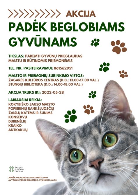 Kaip padėti beglobiams gyvūnams