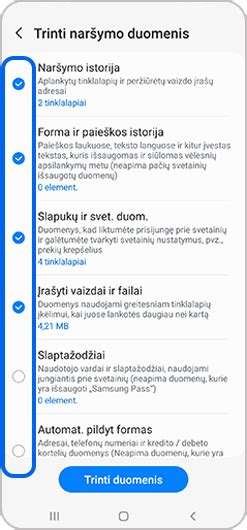 Schema, kaip slapukai ir Pixel žymos renka duomenis