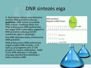 schematinė DNR grandinė ir paveldimumas