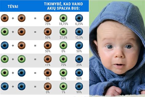 vaiko akių spalvų paletė