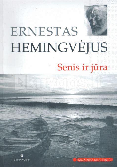 Viršelis knygai 