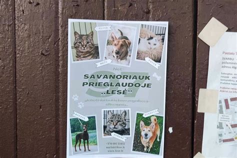 Gyvūnų prieglauda „Lesė“
