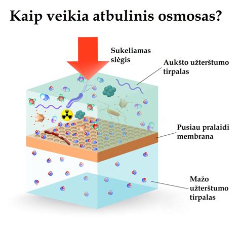 schemą, kaip veikia Digest X kompleksas