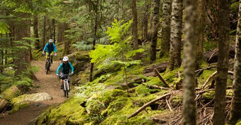 Aliuminio ir plieninio dviračio rėmų palyginimas