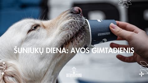 šuniukų maitinimas lentelė