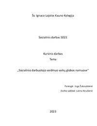 Schema apie socialinio darbuotojo funkcijas vaikų globos namuose