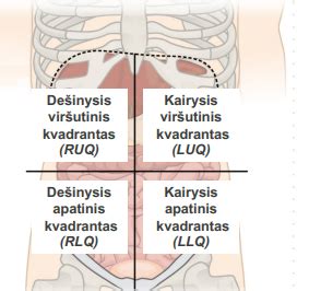 Schema, iliustruojanti skrandžio ir stemplės anatomiją bei refliuksą