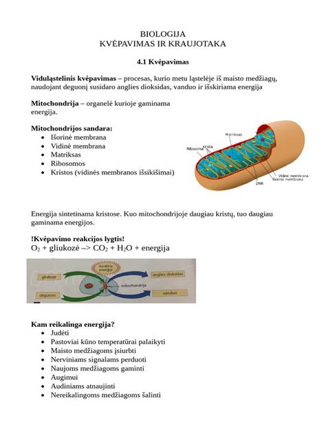 Sauskelnių medžiagos ir kvėpavimas