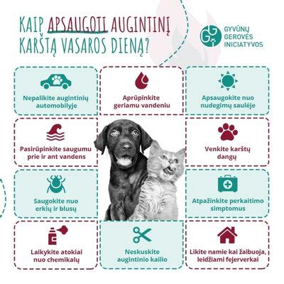 Patarimai, kaip atsivėsinti karštą dieną