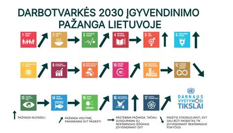 Vaisiaus vystymosi schematinė iliustracija