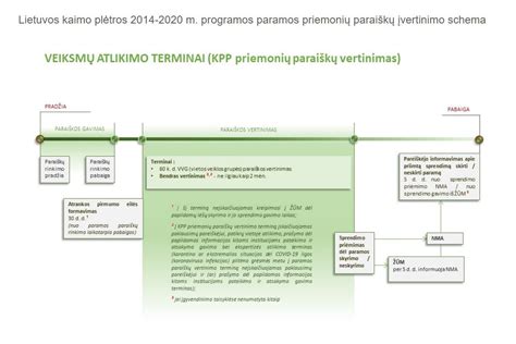 Schema apie išieškojimo procesą