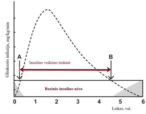 Vaizdinė medžiaga apie insulino veikimo mechanizmą