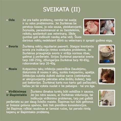 Naujagimio išmatų spalvos ir konsistencijos pokyčiai