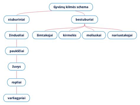 Schema, iliustruojanti gyvūnų laikymo reikalavimus