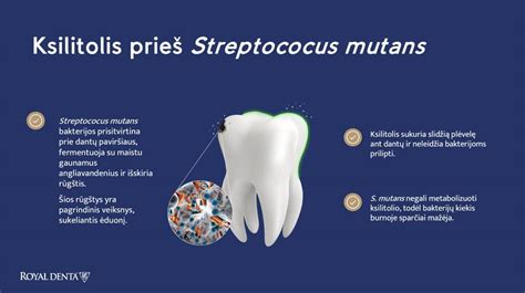 Schema, kaip veikia kariesą sukeliančios bakterijos burnoje