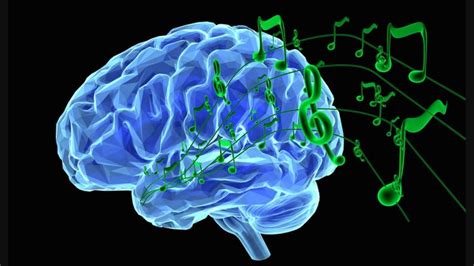 Mokslinė schema apie muzikos poveikį smegenims