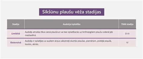 Schema, iliustruojanti slogos stadijas